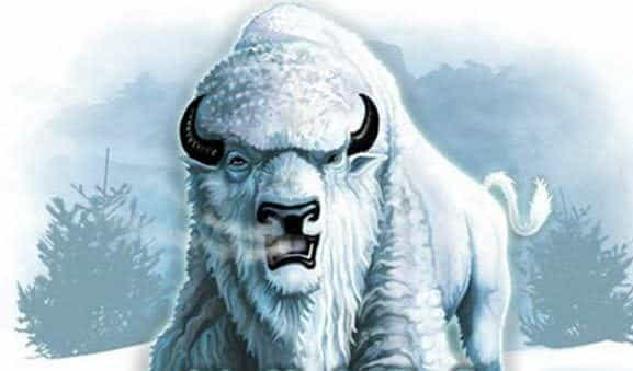 White Buffalo?on the Internet