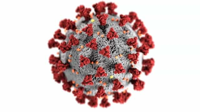 A model of the coronavirus.