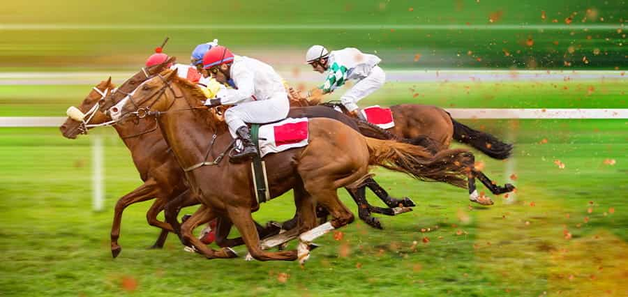 Jockeys on horses