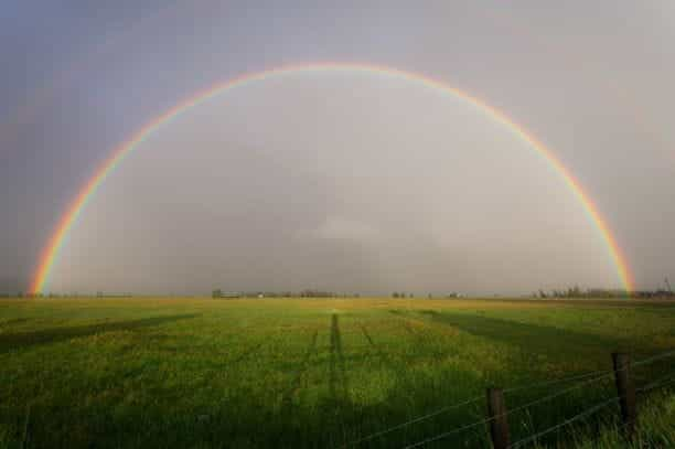 A full rainbow over a green grassy field.