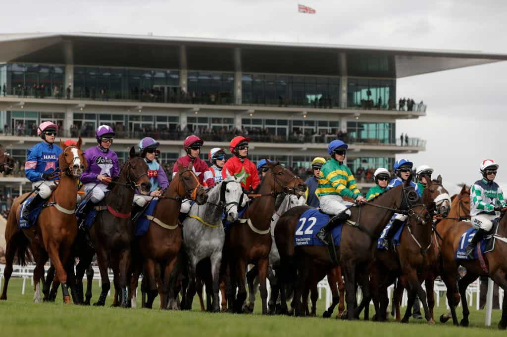 Horses at the starting tape for a major race at the Cheltenham Festival.