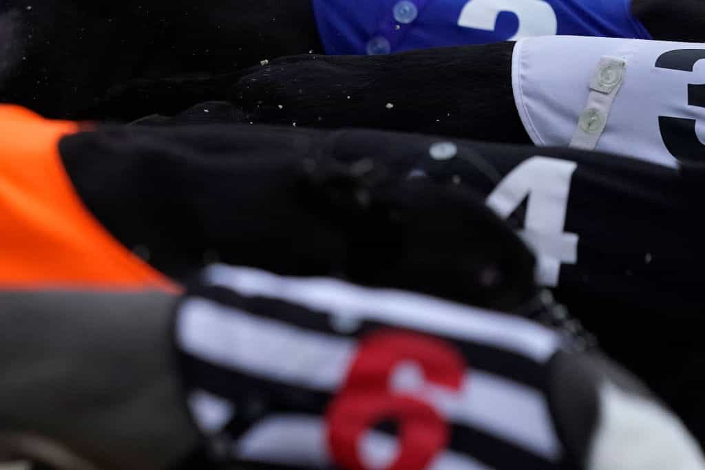 Greyhounds pouncing out of starting boxes in line at the beginning of a race.