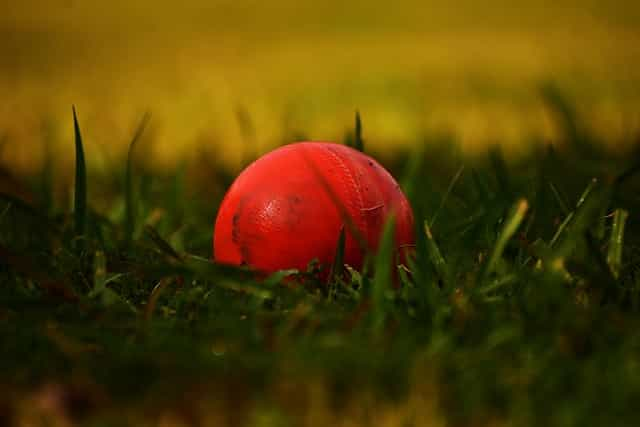 Cricket ball on the grass.