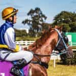 A jockey in silks sitting on a racehorse.